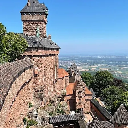 Aman Insolite Jacuzzi Parking Free Centre à 5min * Mulhouse
