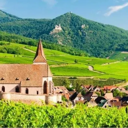 Appartement Aman Insolite Jacuzzi Parking Free Centre A 5min Mulhouse