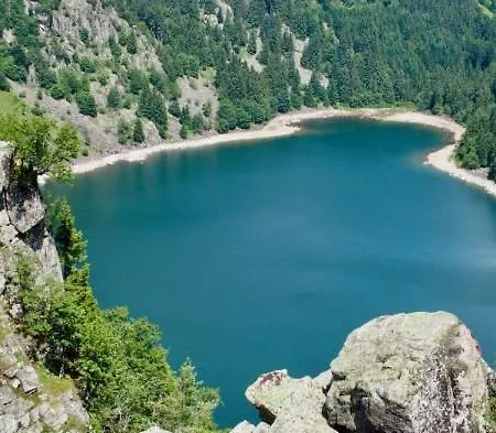 Aman Insolite Jacuzzi Parking Free Centre à 5min Apartamento *
